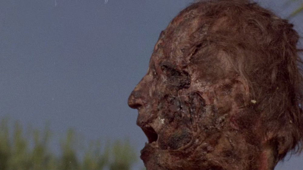 噩梦城市,Incubo sulla città contaminata(1980电影)