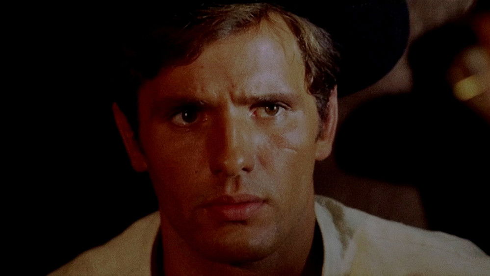 复仇有日,I lunghi giorni della vendetta(1967电影)