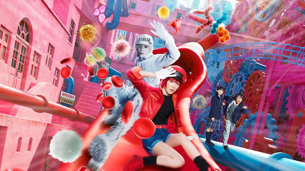 工作细胞 真人版,はたらく細胞(2024电影)