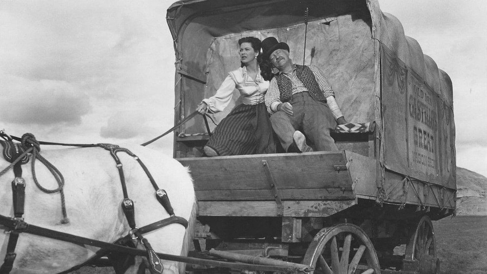 碧血红羽,Tomahawk(1951电影)