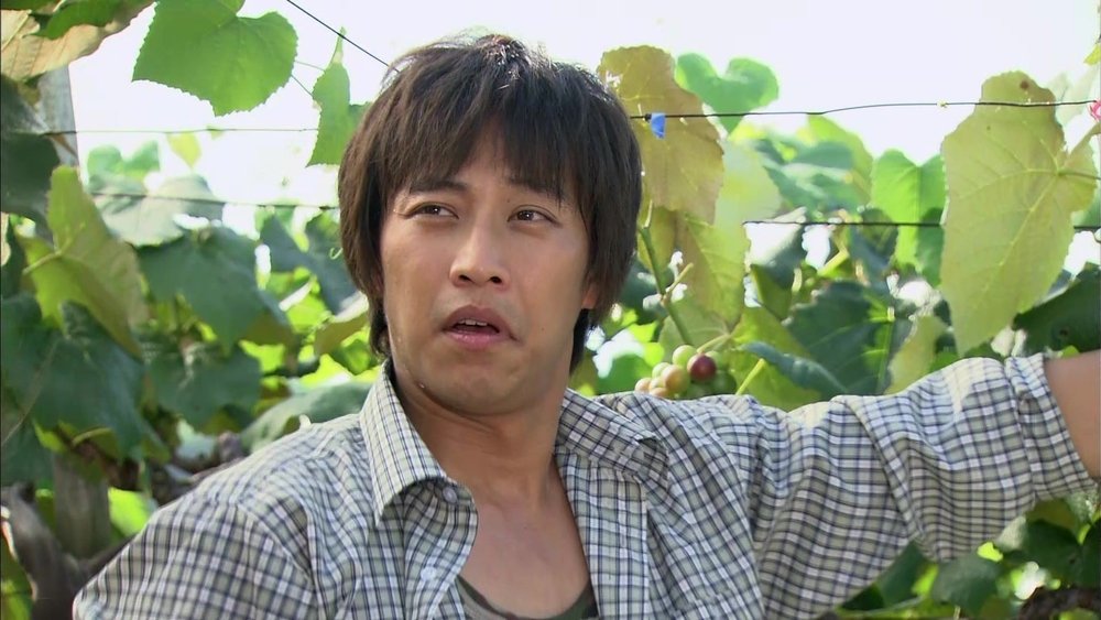 葡萄园里的那个男人,The Man of the Vineyard(2006电视剧集)