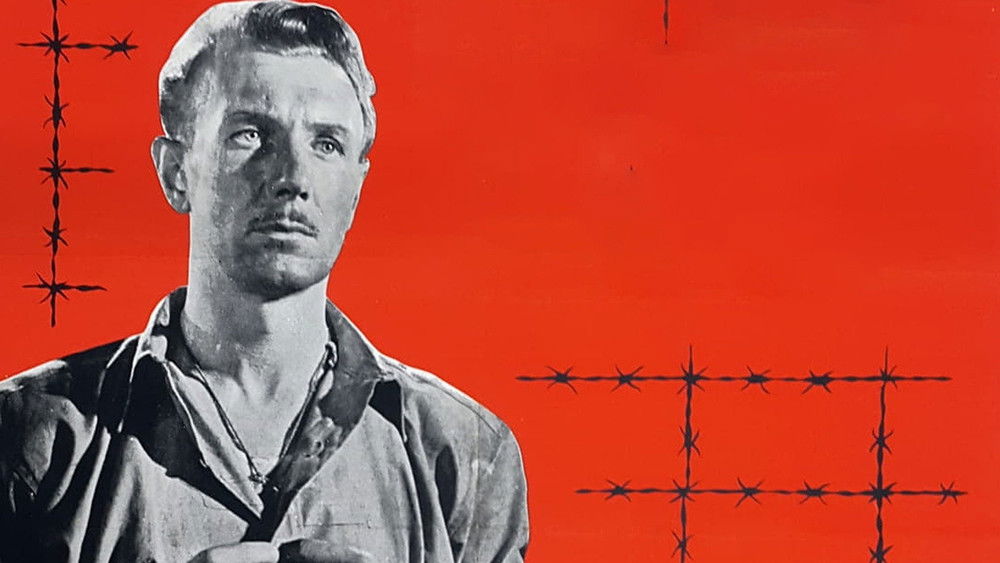 深闺梦里人,The Captive Heart(1946电影)