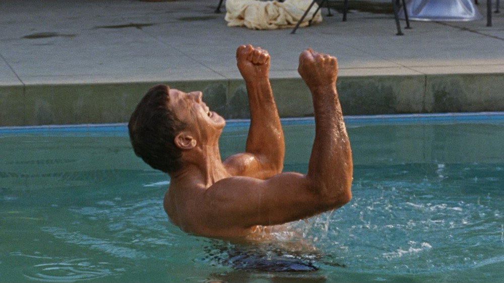 浮生录,The Swimmer(1968电影)
