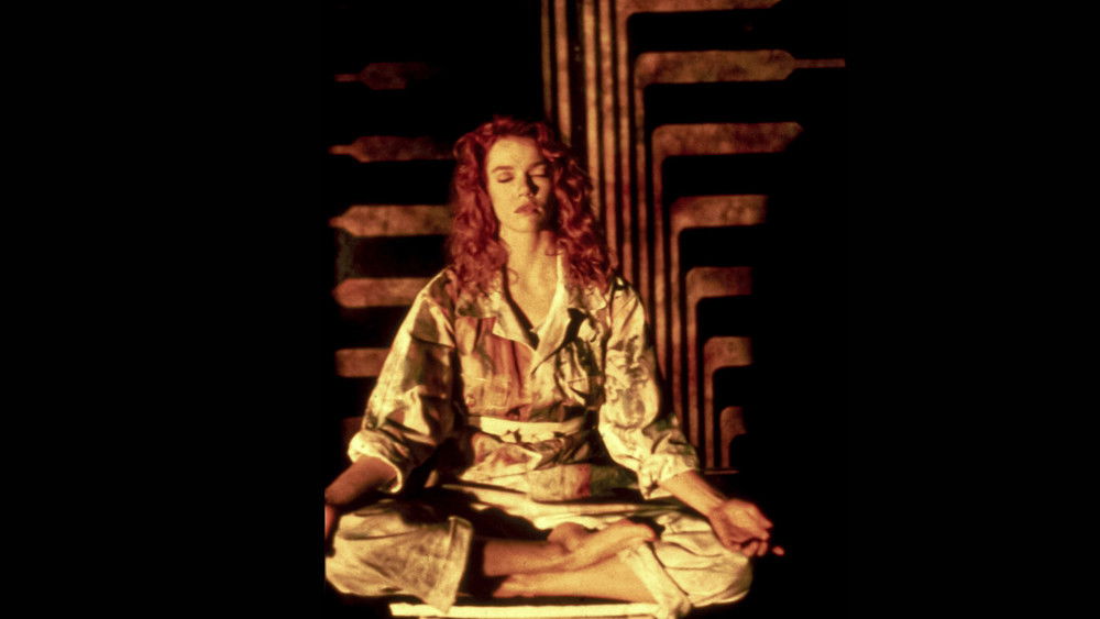 霹雳战士龙,Hardware(1990电影)