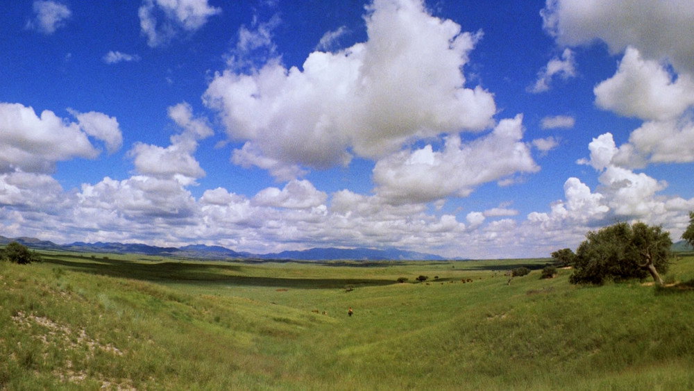 俄克拉荷马,Oklahoma!(1955电影)