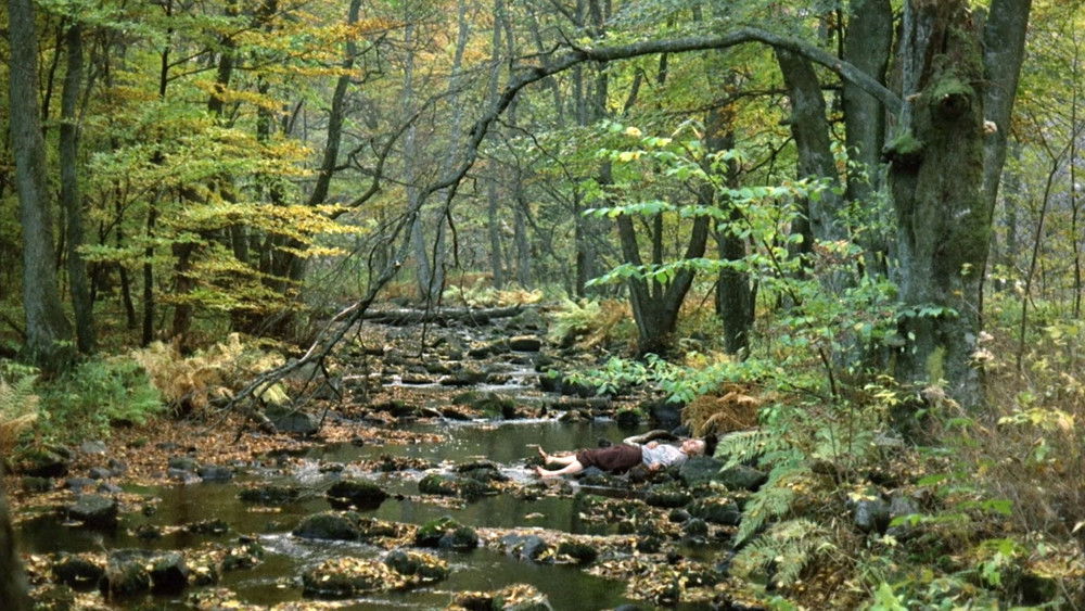 新大陆,Nybyggarna(1972电影)