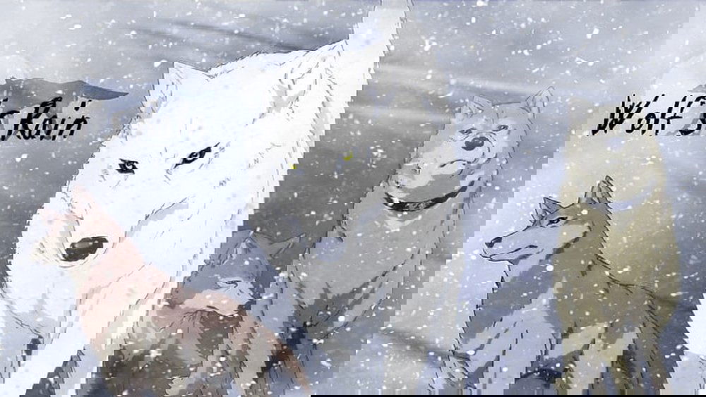 狼雨,WOLF'S RAIN(2003日本动漫)