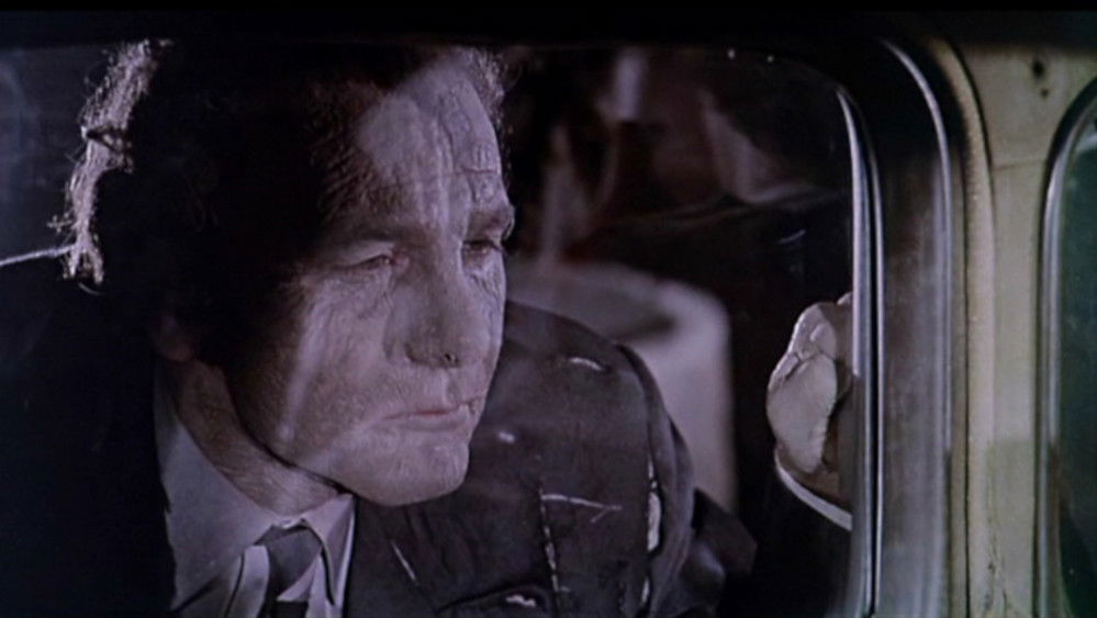 吸血鬼坟墓,Grave of the Vampire(1972电影)