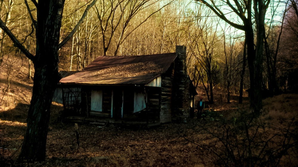 鬼玩人,The Evil Dead(1981电影)