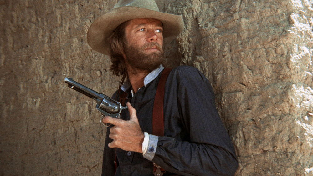 帮手,The Hired Hand(1971电影)