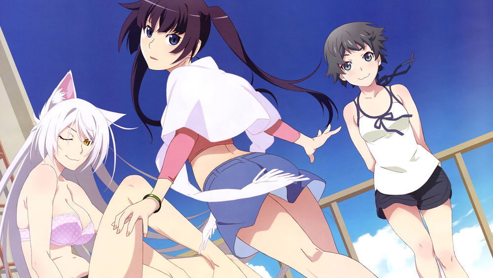 物语系列,化物語(2009日本动漫)