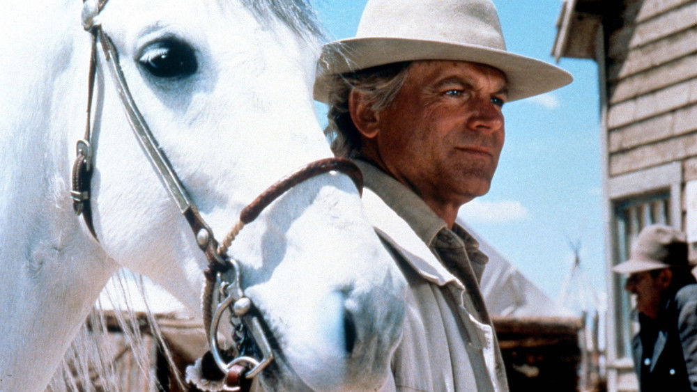 幸运卢克,Lucky Luke(1991电影)