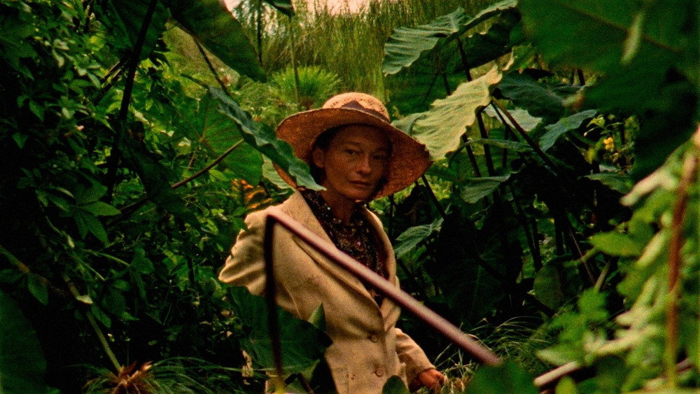 野小子们,Les Garçons sauvages(2017电影)