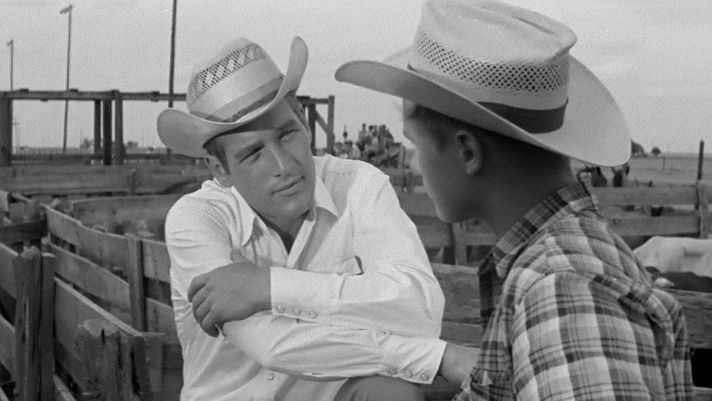 原野铁汉,Hud(1963电影)