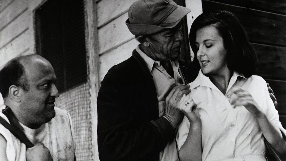 罗娜,Lorna(1964电影)