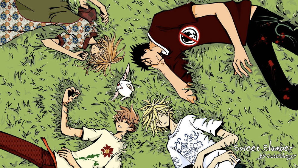 翼·年代记,ツバサ･クロニクル(2005日本动漫)