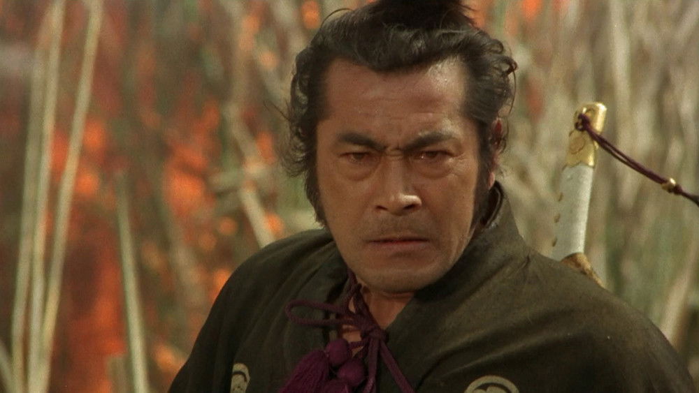 龙虎群英,Soleil Rouge(1971电影)