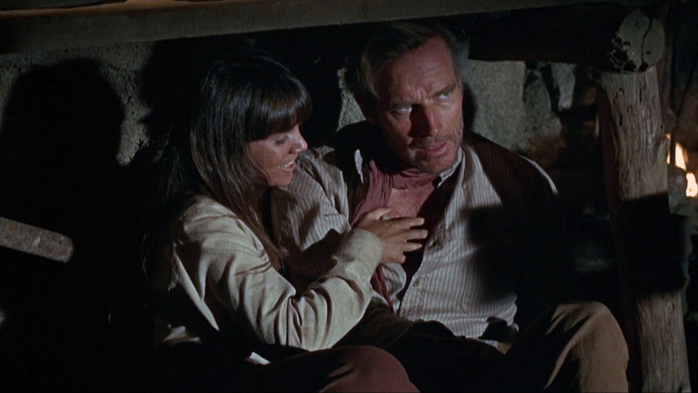 威尔·佩尼,Will Penny(1967电影)