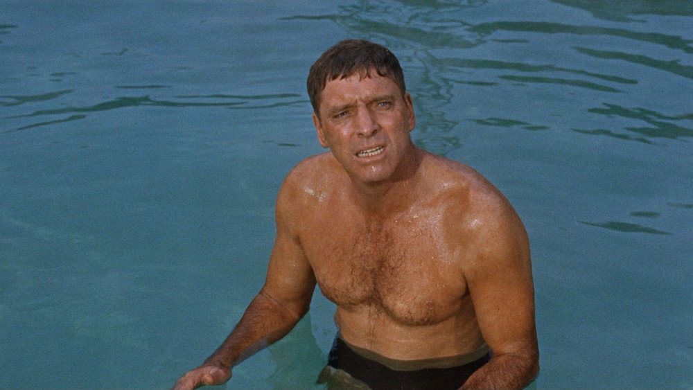 浮生录,The Swimmer(1968电影)