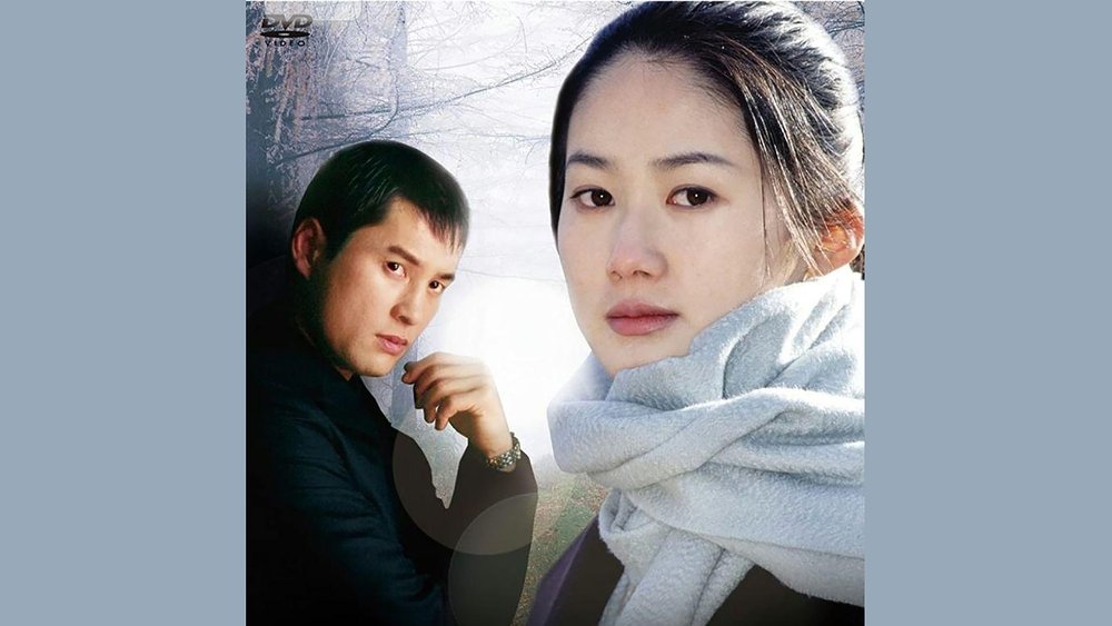 青春的陷阱,청춘의 덫(1999电视剧集)