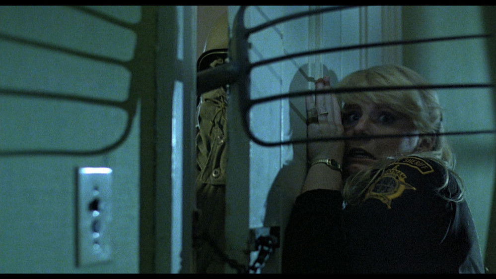 罗斯玛丽的杀手,The Prowler(1981电影)