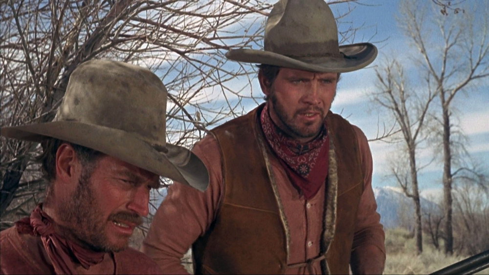 威尔·佩尼,Will Penny(1967电影)