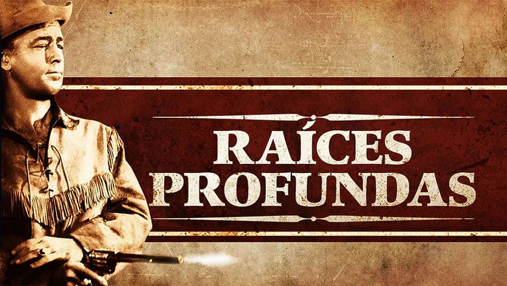 原野奇侠,Shane(1953电影)