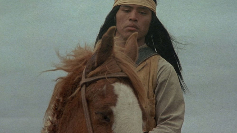 新关山飞渡,Stagecoach(1986电影)