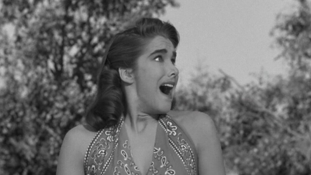 黑湖妖潭,Creature from the Black Lagoon(1954电影)