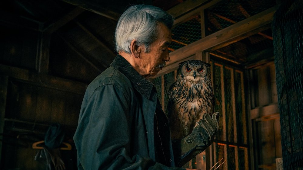 House of the Owl
