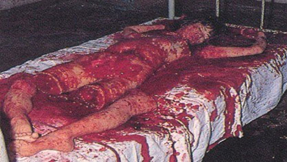 豚鼠系列之2：血肉之花,ギニーピッグ2 血肉の華(1985电影)