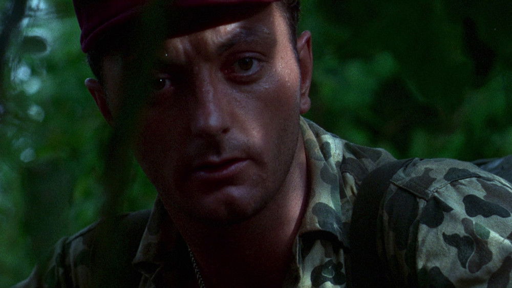 激战伏兵湾,Ambush Bay(1966电影)