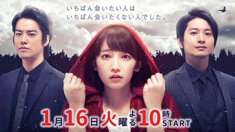 你已藏在我心底,きみが心に棲みついた(2018电视剧集)