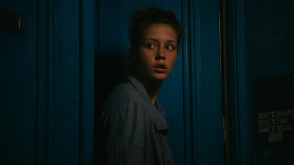 阿黛尔的生活,La Vie d'Adèle - Chapitres 1 et 2(2013电影)