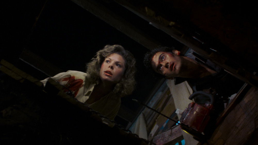 鬼玩人2,Evil Dead II(1987电影)