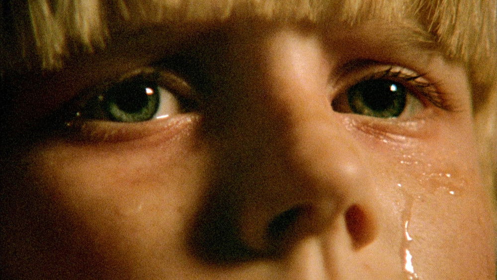 灵婴,The Brood(1979电影)