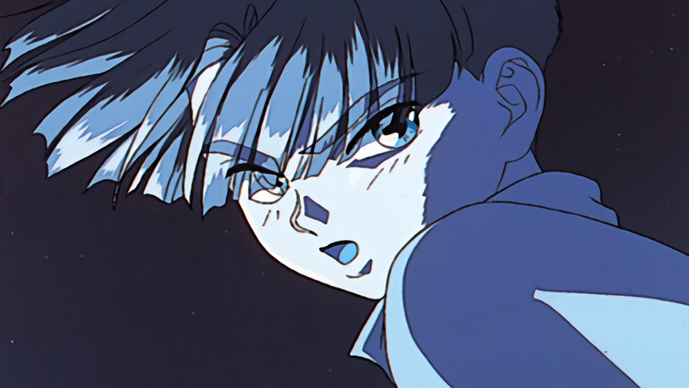 地球守护灵,ぼくの地球を守って(1993日本动漫)