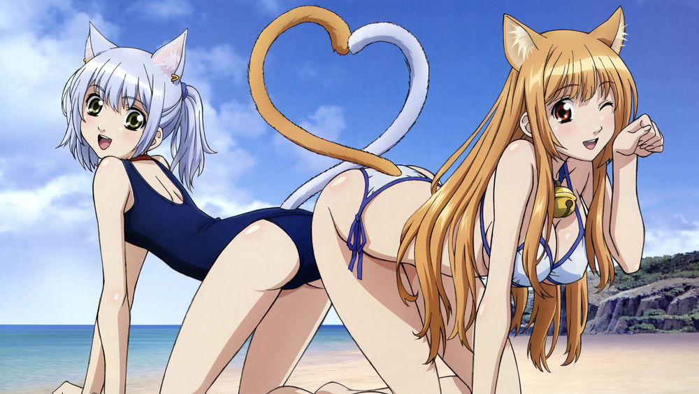 玩伴猫耳娘,あそびにいくヨ！(2010日本动漫)