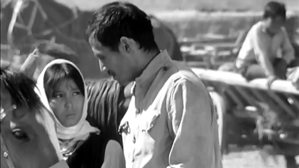 查密莉雅,Джамиля(1969电影)