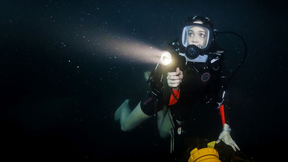 鲨海,47 Meters Down(2017电影)