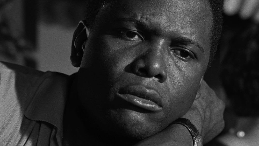 阳光下的葡萄干,A Raisin in the Sun(1961电影)