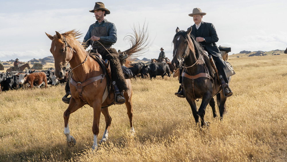 犬之力,The Power of the Dog(2021电影)