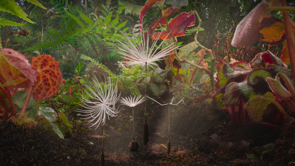 星球,Planètes(2026电影)