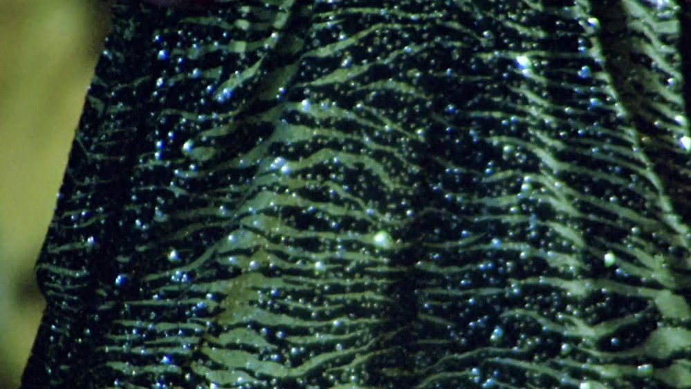 放荡不羁的艾曼妞,Las orgías inconfesables de Emmanuelle(1982电影)