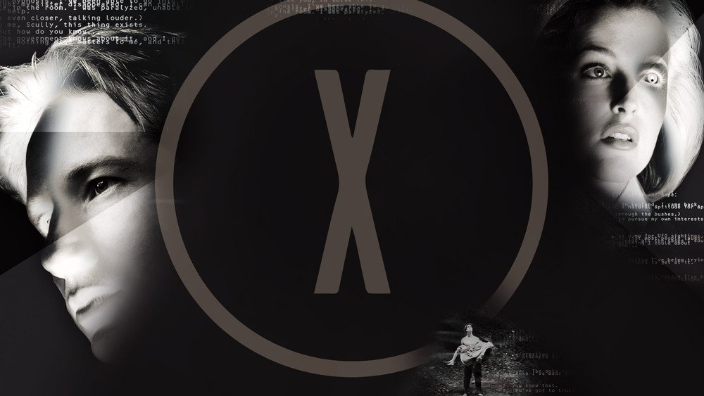 X档案,The X-Files(1993电视剧集)