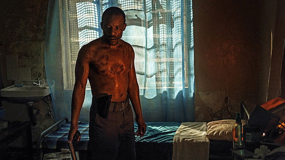 马赛行动,Five Fingers for Marseilles(2018电影)