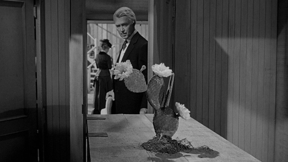 双虎屠龙,The Man Who Shot Liberty Valance(1962电影)