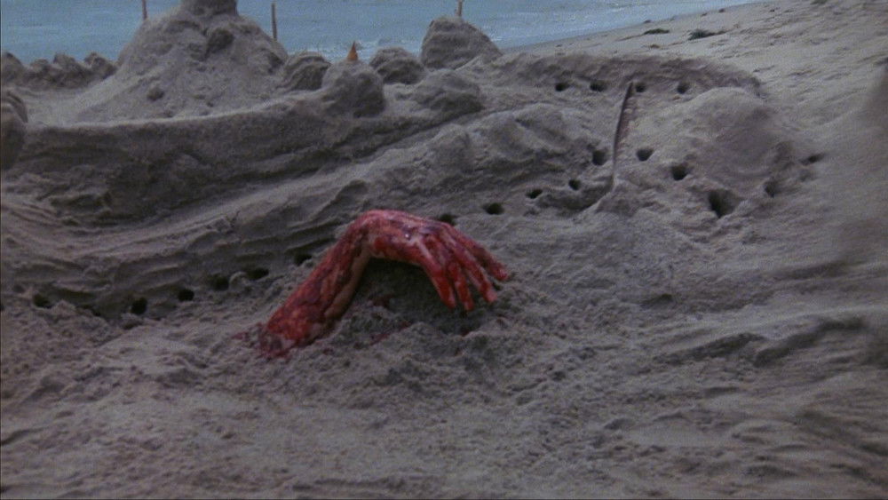 寂静尖叫,Silent Scream(1979电影)