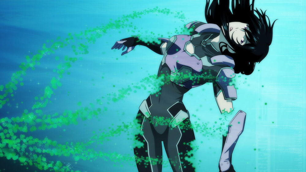 泽伽佩因,ゼーガペイン(2006日本动漫)