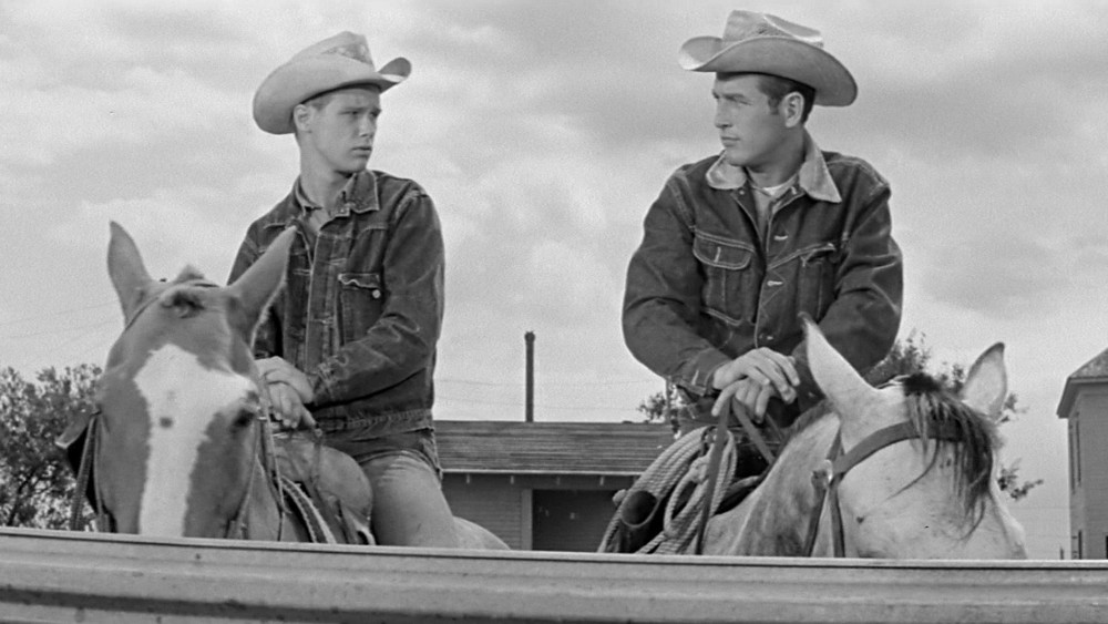 原野铁汉,Hud(1963电影)